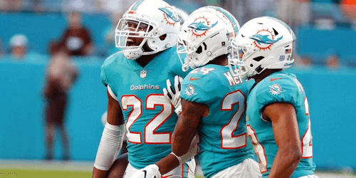 miami dolphins players on the field