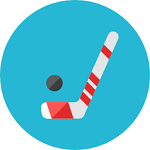 hockey stick with puck