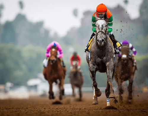 filly and mare sprint horses